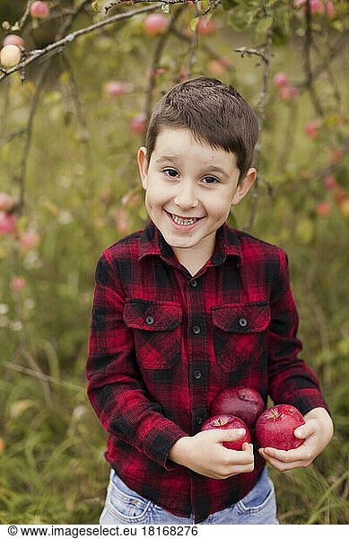 Happy boy standing with fresh red apples at farm