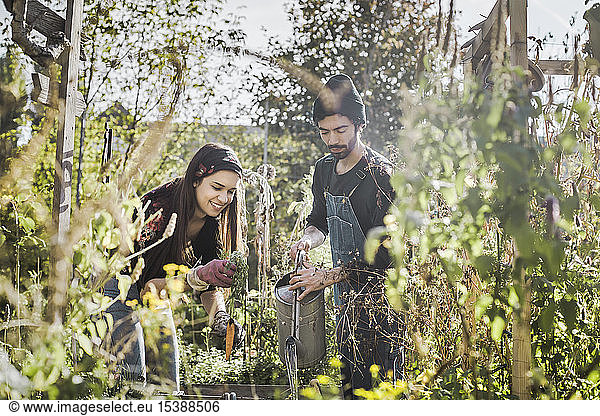 Happy couple gardening in urban garden together