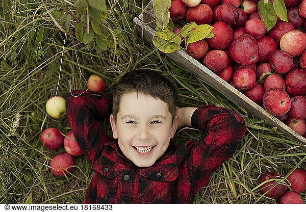 Happy cute boy lying on grass by crate of apples