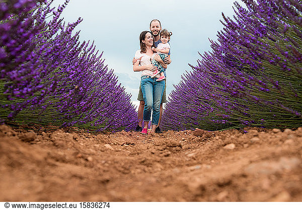 Happy family walking among lavender fields in the summer