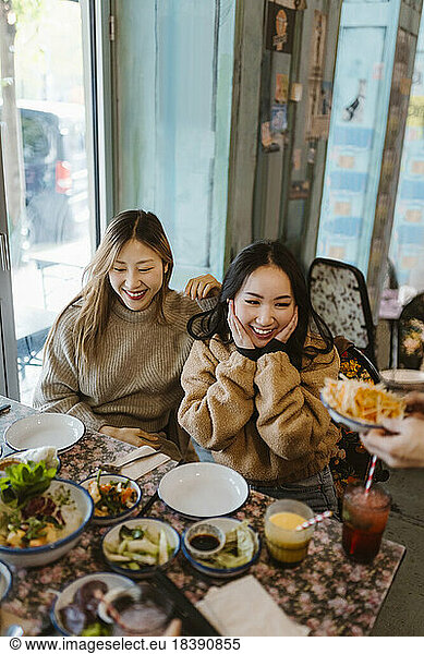 Happy female friends sitting together at restaurant