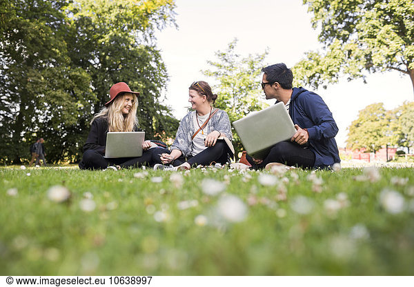 Happy freelancers using laptop while sitting at park