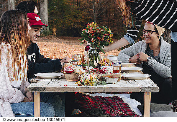 Happy friends sitting at table on field