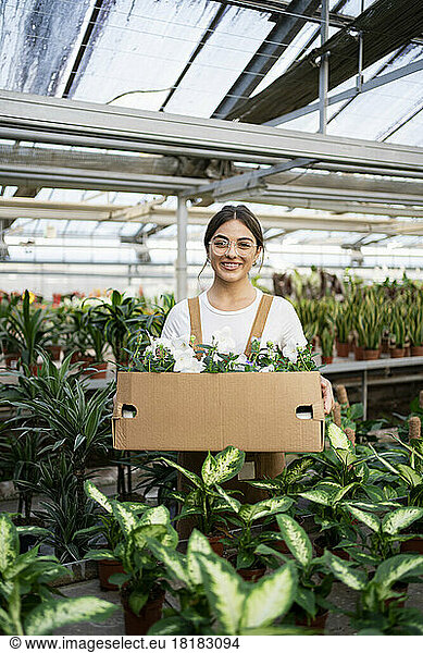Happy gardener with box of flowering plants standing in greenhouse