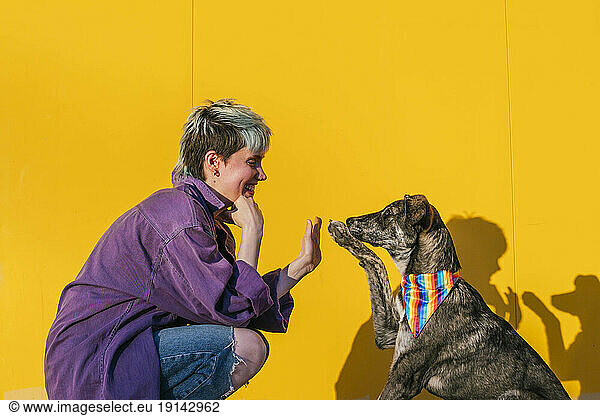 Happy lesbian woman giving high-five to dog in front of yellow wall