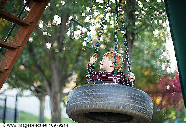 Happy little boy 3-4 years old swinging on a tire swing in backyard