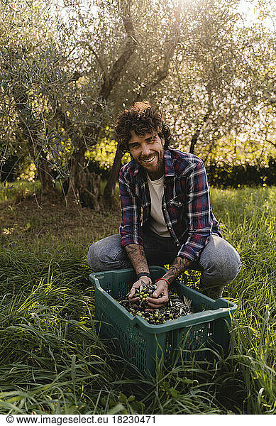 Happy man holding olives in front of crate at orchard