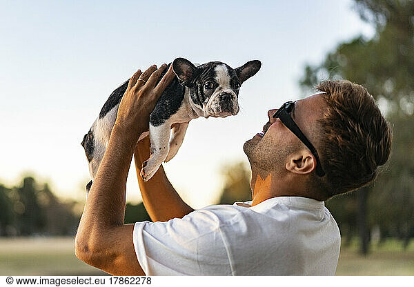 Happy man holding up a french bulldog. The dog is looking at camera