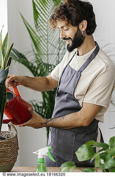 Happy man watering plant from can at plant shop
