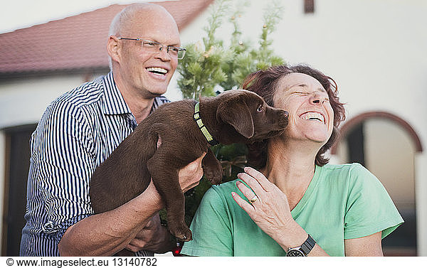 Happy mature couple playing with dog in yard