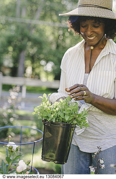 Happy mature woman holding potted plant at garden
