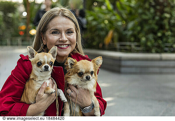 Happy mature woman with Chihuahua puppies on footpath