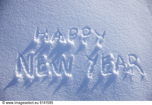 Happy New Year written in snow