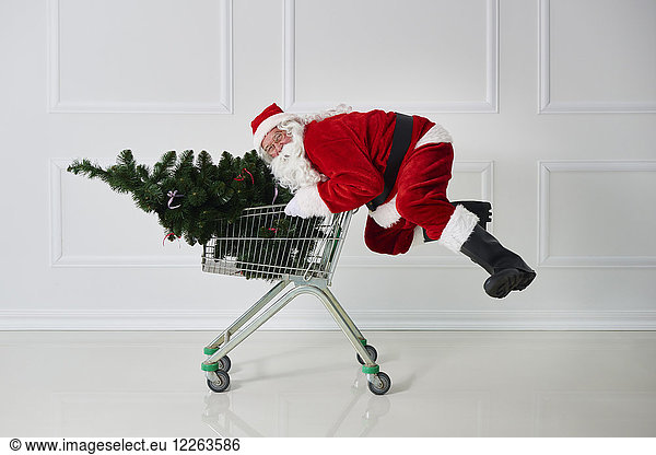 Happy Santa Claus carrying Christmas tree in a shopping cart