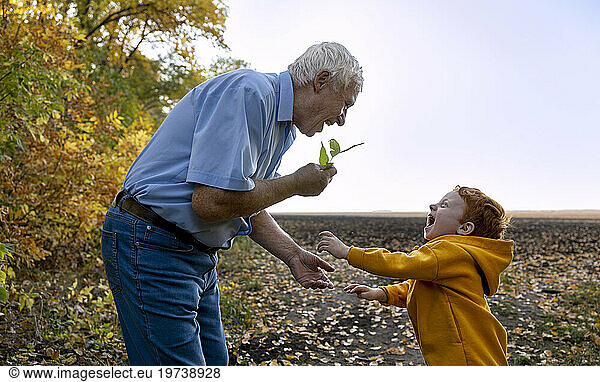 Happy senior man holding leaf and playing with grandson in autumn forest