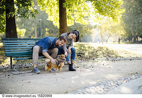 Happy young couple with dog in a park sitting on a bench