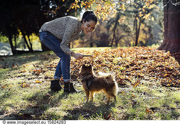 Happy young woman playing with dog in a park
