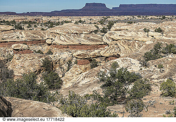 Hardened flowing rock at Canyonlands National Park  Utah; Moab  Utah  United States of America