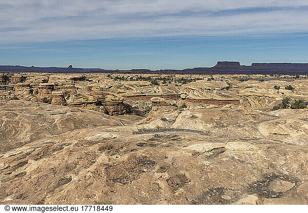 Hardened flowing rock at Canyonlands National Park  Utah; Moab  Utah  United States of America
