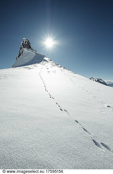 Hare tracks along snowcapped peak in Rofan Mountains