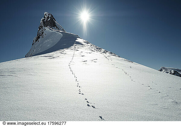 Hare tracks along snowcapped peak in Rofan Mountains