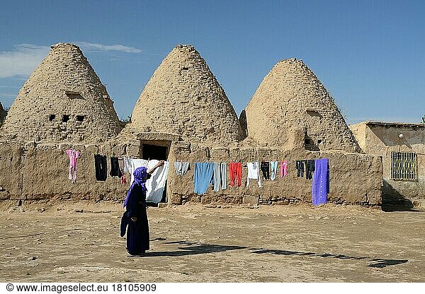 Harran  Lehmziegel  Lehmhaus  traditionelle  bienenstockförmige Lehmhäuser  Trulli  Provinz Sanliurfa  Mesopotamien  Türkei  Asien