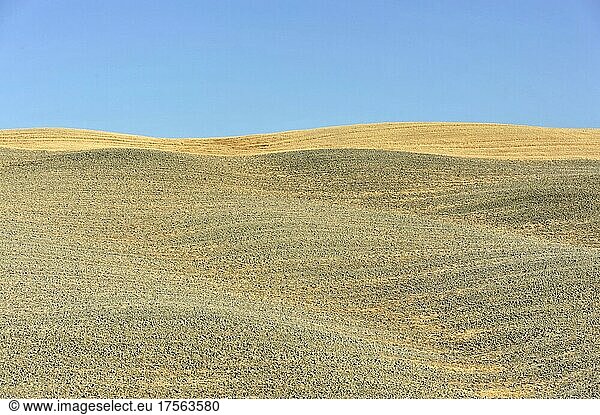 Harvested wheat field  landscape north of Sorano  Tuscany  Italy  Europe