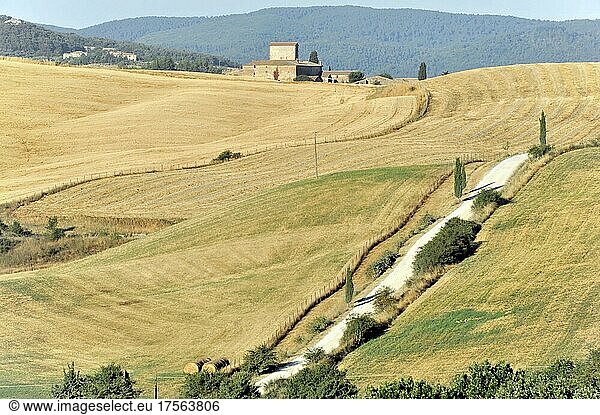 Harvested wheat fields  landscape south of Pienza  Tuscany  Italy  Europe