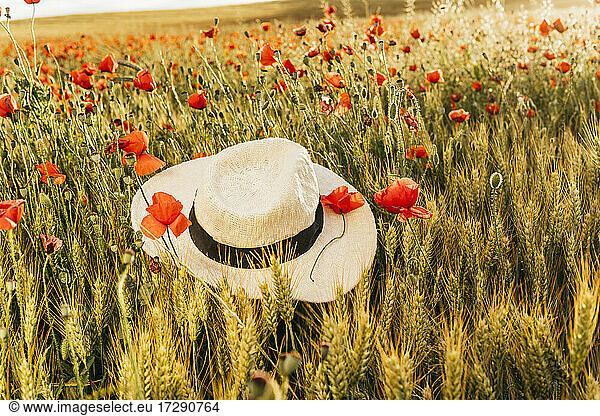Hat amidst poppy flower at field