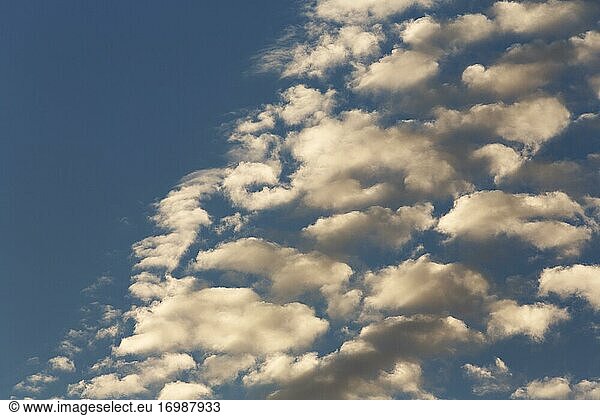 Haufenwolken  Quellwolken  Cumuluswolken am Abendhimmel  Hintergrundbild  Camargue  Provence  Frankreich  Europa