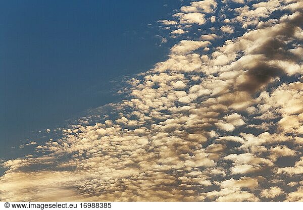 Haufenwolken  Quellwolken  Cumuluswolken am Abendhimmel  Hintergrundbild  Camargue  Provence  Frankreich  Europa