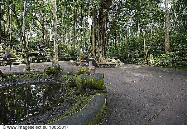 Hauptplatz im Affenwald  Ubud  Bali  Indonesien  Asien