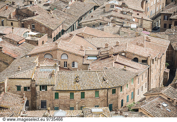Hausdächer aus Ziegeln  Siena  Toskana  Italien  Europa