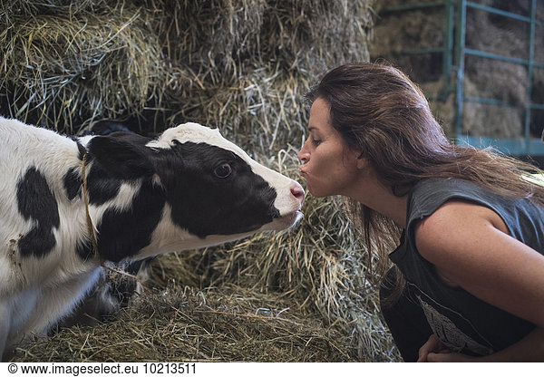 Hausrind Hausrinder Kuh Europäer Frau küssen Scheune Kuh