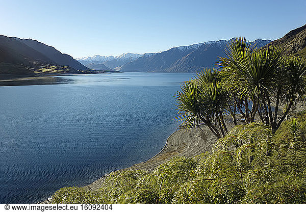 Hawea lake  South Island  New Zealand