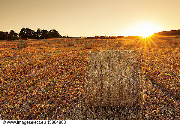 Hay bales at sunset  Swabian Alps  Baden-Wurttemberg  Germany  Europe