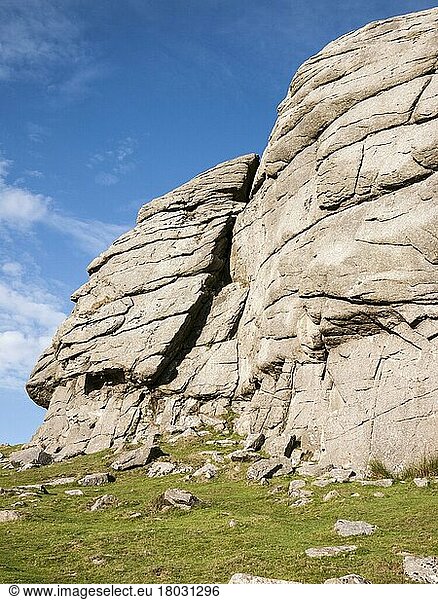 Haytor Rocks in Dartmoor National Park  Devon  England  United Kingdom  Europe
