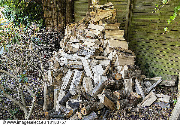 Heap of firewood lying in back yard