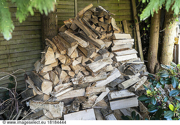 Heap of firewood lying in back yard