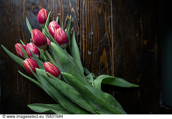Heavy weighted left side photo of above shot bouquet pink fresh tulips
