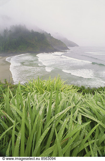 Heceta Head is a headland on the Pacific coastline of Oregon.