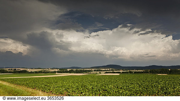 Heftige Gewitterwolken ziehen über einem landwirtschaftlichen Gebiet auf  Bayern  Deutschland  Europa