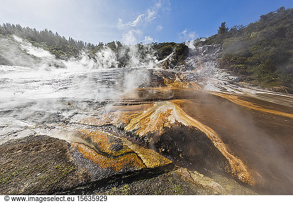 Heiße Quellen Algen und Terrassen und Smaragd-Terrasse  Orakei Korako Geothermal Park  Taupo-Vulkanzone  Nordinsel  Neuseeland