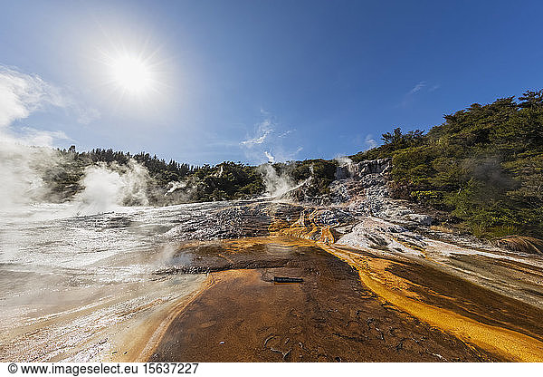 Heiße Quellen Algen und Terrassen und Smaragd-Terrasse  Orakei Korako Geothermal Park  Taupo-Vulkanzone  Nordinsel  Neuseeland