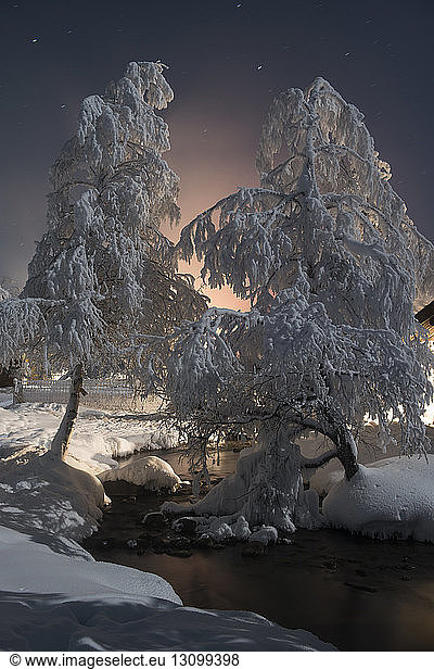 Heiße Quellen in Chena bei schneebedeckten Bäumen in der Nacht