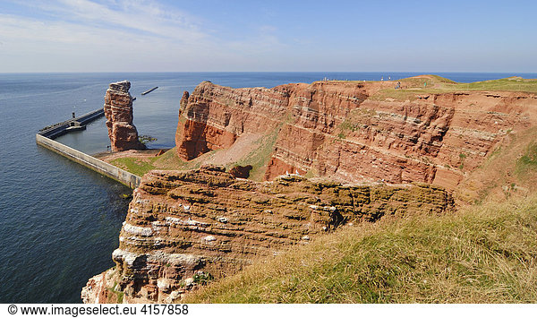 Helgoland - Blick auf die Steilküste aus Buntsandstein und der langen Anna - Schleswig-Holstein Deutschland Europa.