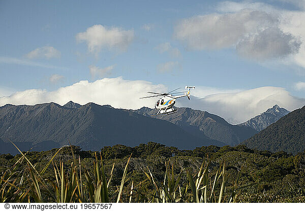 Helicopter flying over trees and mountains  South Island  New Zealand