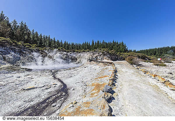 Hell's Gate Geothermal Park Tikitere Rotorua North Island New Zealand