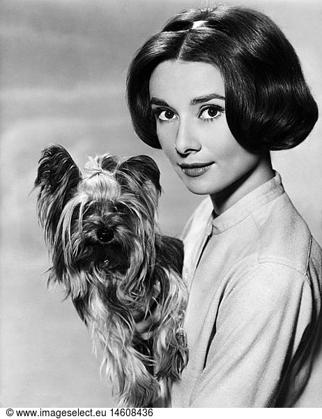 Hepburn  Audrey  4.5.1929 - 20.1.1993  British actress  portrait  with dog  late 1950s