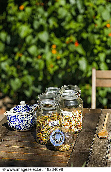 Herbs in jars on table at back yard